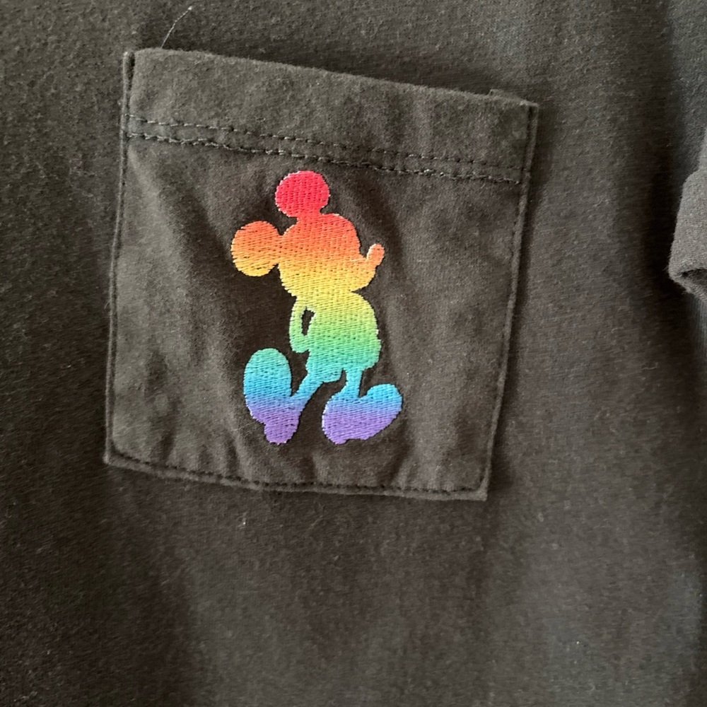 Disney Pride Gray V-Neck T-Shirt - Picture 4 of 6